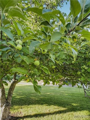 1030 Saunders Sett Road, Lewiston, NY 14305