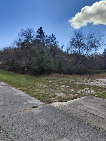 408 VERNON COURT, Kissimmee, FL 34759