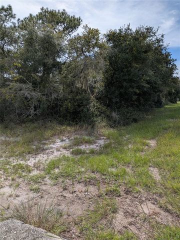 408 VERNON COURT, Kissimmee, FL 34759