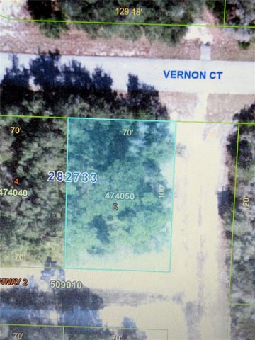 408 VERNON COURT, Kissimmee, FL 34759