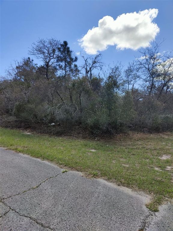 408 VERNON COURT, Kissimmee, FL 34759