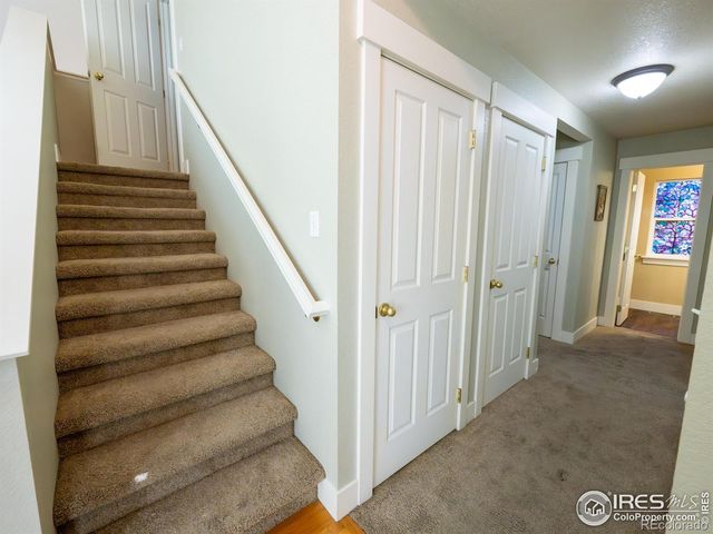 4085 Buffalo Mountain Drive, Loveland, CO 80538