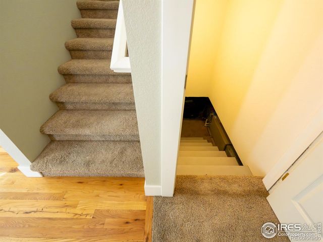 4085 Buffalo Mountain Drive, Loveland, CO 80538