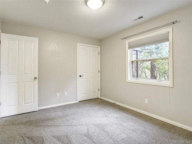 4660 Hagerman Ave, Cascade, CO 80809