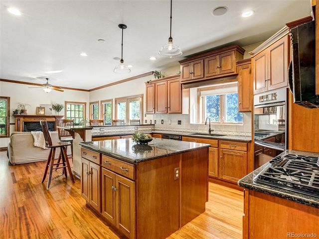 4660 Hagerman Ave, Cascade, CO 80809