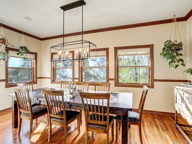 4660 Hagerman Ave, Cascade, CO 80809