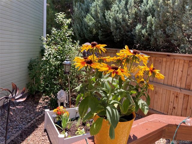 1508 Laurenwood Way, Highlands Ranch, CO 80129