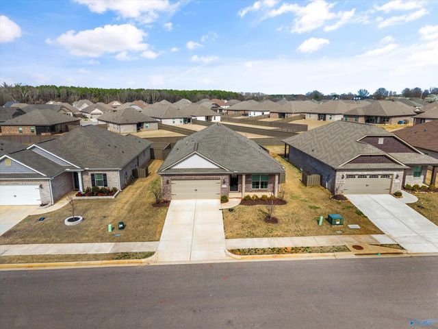 21825 Natures Cove Drive, Athens, AL 35613