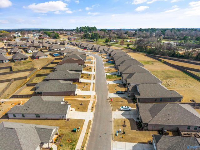 21825 Natures Cove Drive, Athens, AL 35613