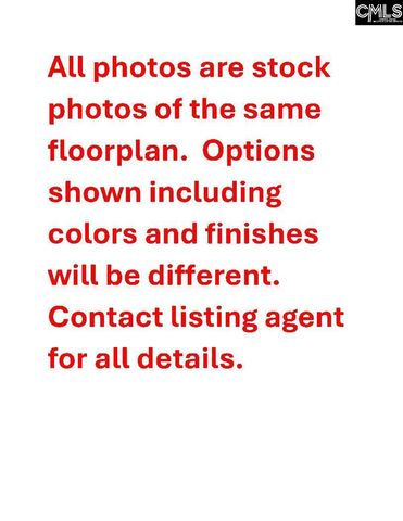 414 Rising Stream Way, Chapin, SC 29036