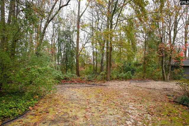 412 Mana Vista Court, Lexington, SC 29072