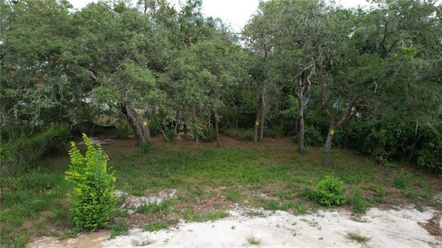 11406 POLO STREET, New Port Richey, FL 34654