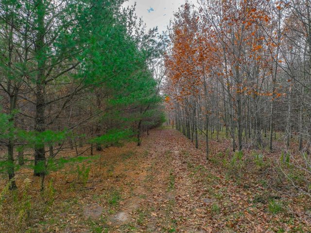 xxx Lot#27 110th Avenue, Hammond, WI 54015