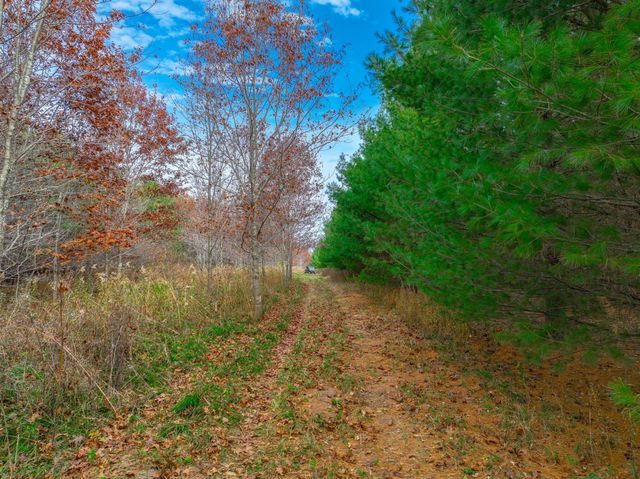 xxx Lot#27 110th Avenue, Hammond, WI 54015
