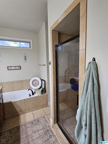 1135 BAYLOR COURT, Pell City, AL 35125