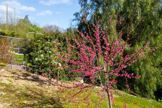 9336 Wayside Drive, Sunland, CA 91040