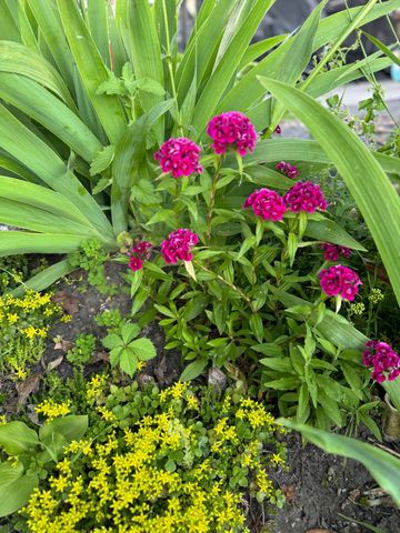 4539 141st Avenue NE, New London Twp, MN 56288