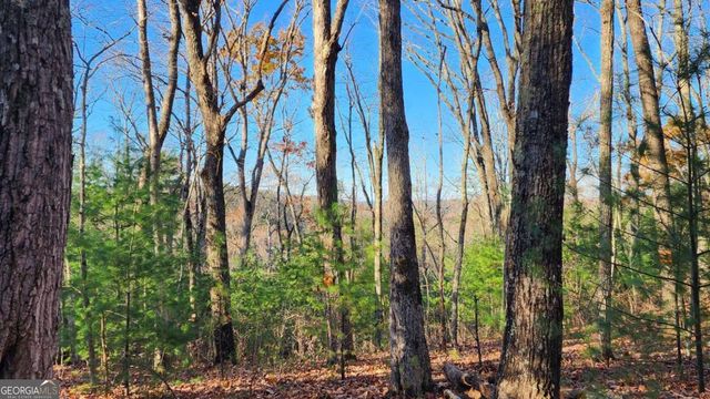 0 LOT 18 Meadowlands Drive, Talking Rock, GA 30175