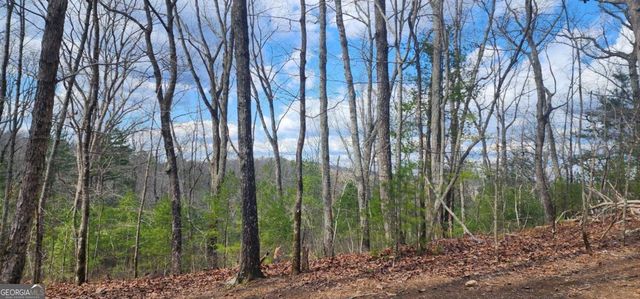 0 LOT 18 Meadowlands Drive, Talking Rock, GA 30175