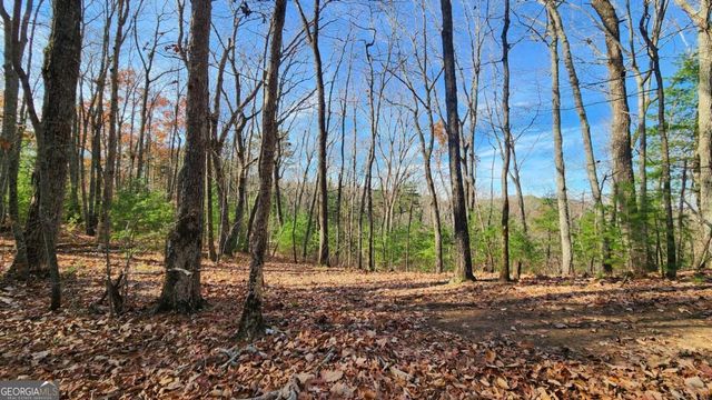 0 LOT 18 Meadowlands Drive, Talking Rock, GA 30175