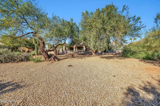 26445 N AVENIDA DEL RAY --, Rio Verde, AZ 85263