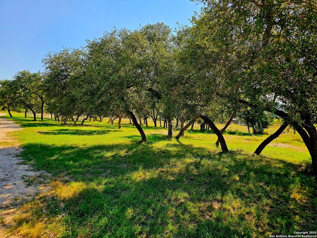 180 HONDO SPUR, Tarpley, TX 78883