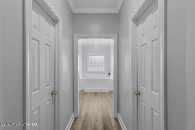 303 Hastings Cove, Madison, MS 39110