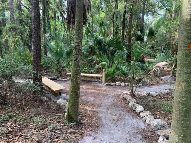 5215 FAIRWAY ONE DRIVE, Valrico, FL 33596