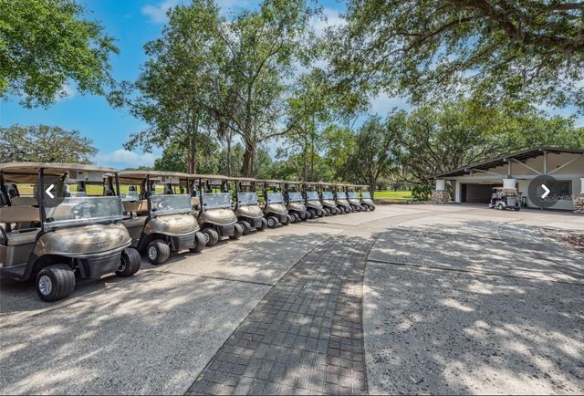 5215 FAIRWAY ONE DRIVE, Valrico, FL 33596