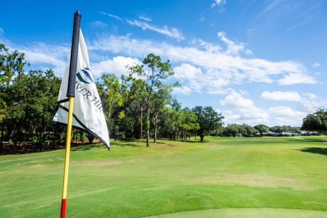 5215 FAIRWAY ONE DRIVE, Valrico, FL 33596