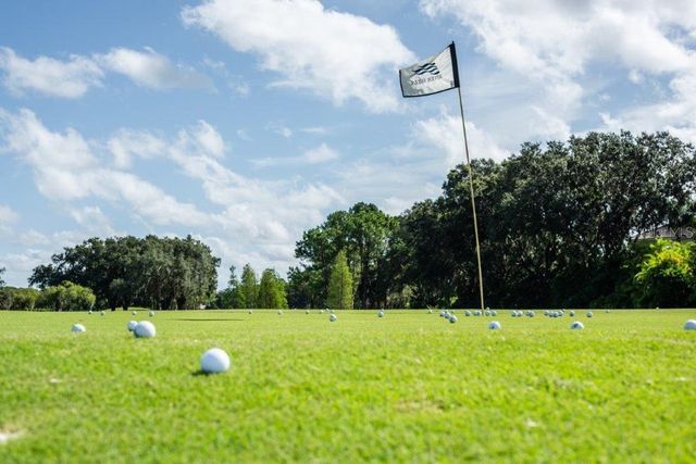 5215 FAIRWAY ONE DRIVE, Valrico, FL 33596