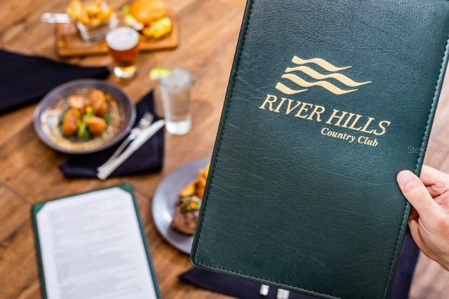 5215 FAIRWAY ONE DRIVE, Valrico, FL 33596