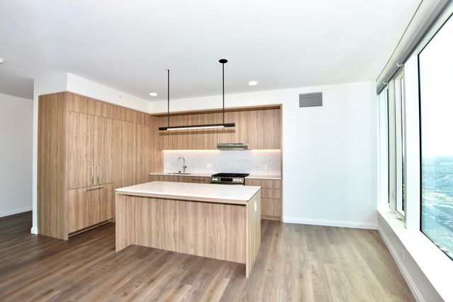 1000 S Michigan Avenue 5701, Chicago, IL 60605