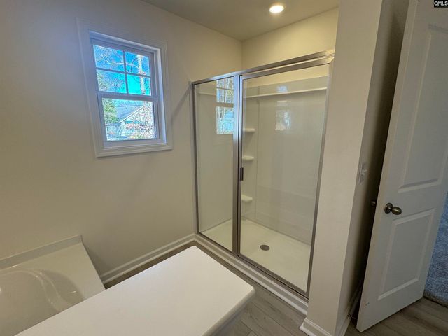 562 Griffon Drive, Chapin, SC 29036