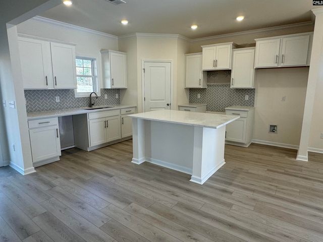 562 Griffon Drive, Chapin, SC 29036