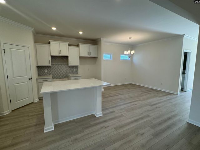 562 Griffon Drive, Chapin, SC 29036