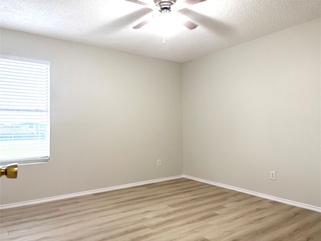 2521 Brinlee Branch Lane, Mckinney, TX 75071