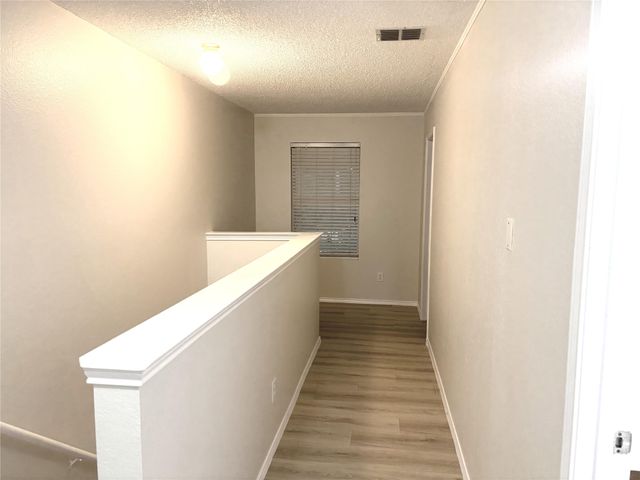 2521 Brinlee Branch Lane, Mckinney, TX 75071