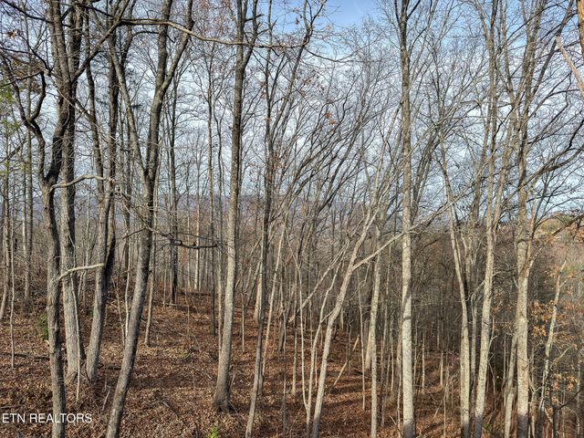 2317 Grey Fox Run, Sevierville, TN 37862