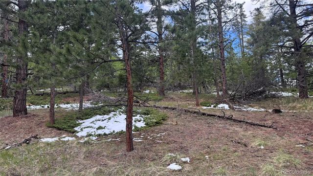 717 Crescent Lake Road, Golden, CO 80403