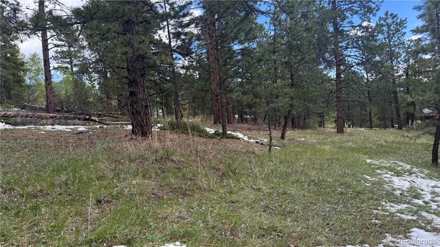 717 Crescent Lake Road, Golden, CO 80403