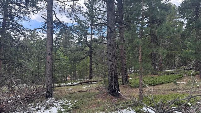 717 Crescent Lake Road, Golden, CO 80403