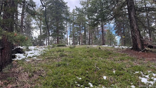 717 Crescent Lake Road, Golden, CO 80403