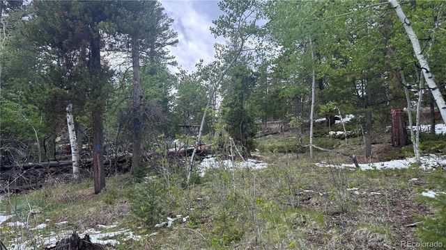 717 Crescent Lake Road, Golden, CO 80403