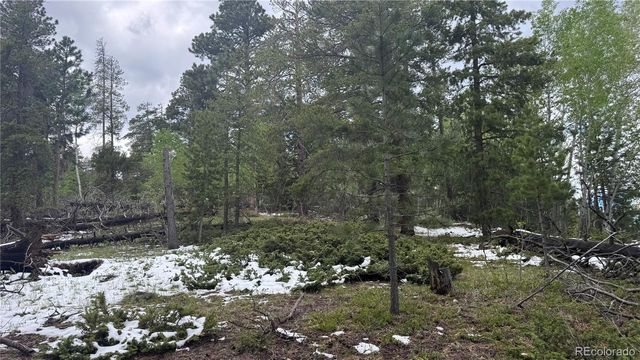717 Crescent Lake Road, Golden, CO 80403