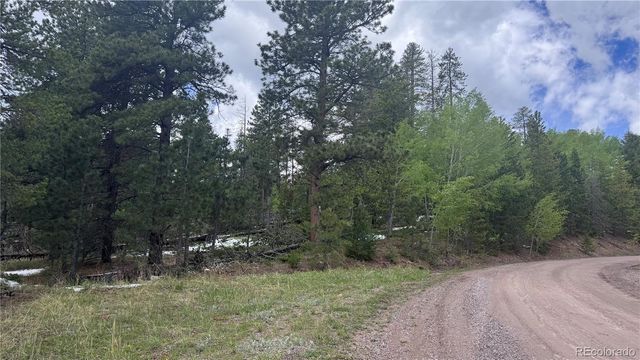 717 Crescent Lake Road, Golden, CO 80403