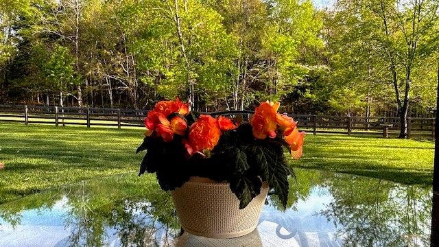 7270 Old Franklin Rd, Fairview, TN 37062