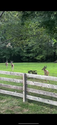 7270 Old Franklin Rd, Fairview, TN 37062