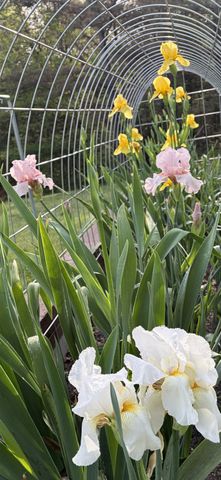 7270 Old Franklin Rd, Fairview, TN 37062