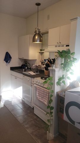 132 Union Park Street 1, Boston, MA 02118